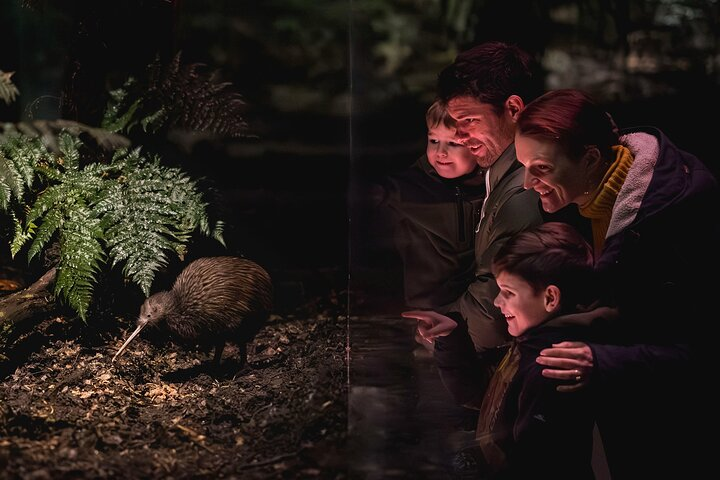 Kiwi Park Queenstown Admission - Photo 1 of 11